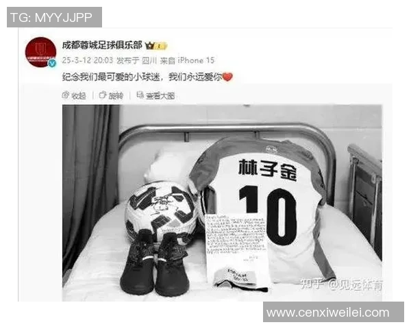 感人至深的足球明星退役瞬间回顾与感悟